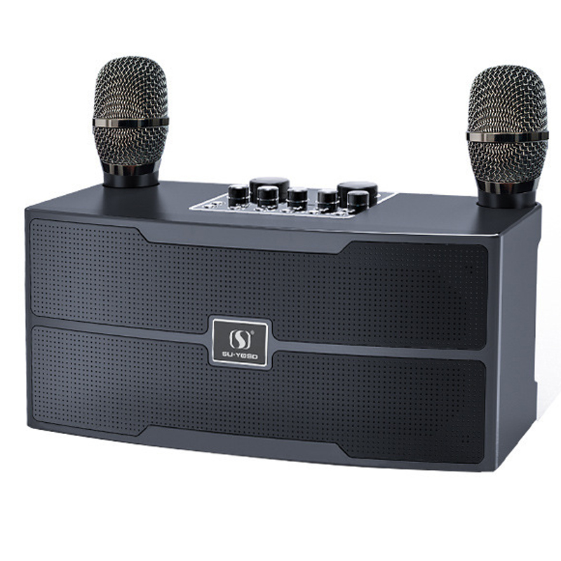 Audio Music Apple - 120W High Power Wireless Portable Microphone