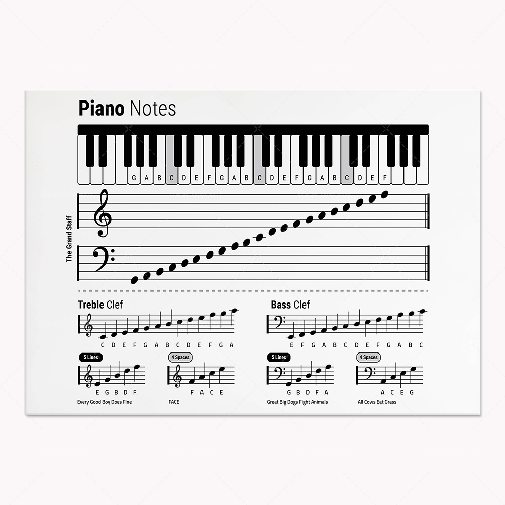 Guitar theory, piano, audio sp - Audio Into Music Sheet review and price