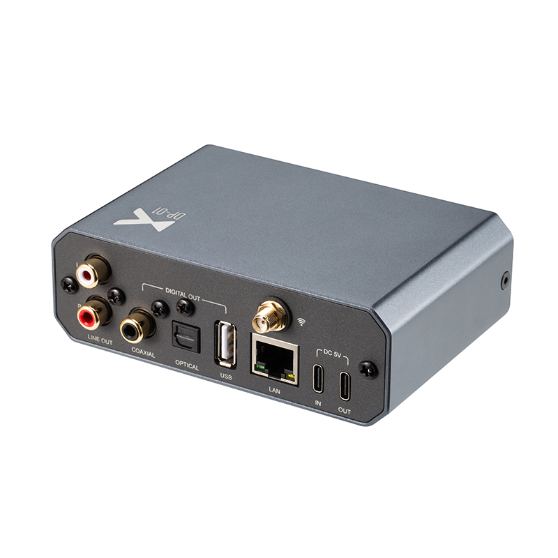 xDuoo DP-01 Lossless Music Str - Audio Without Music review and price